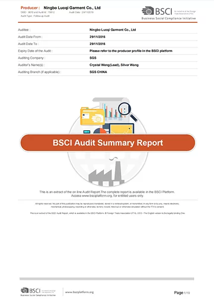 bsci audit summary report