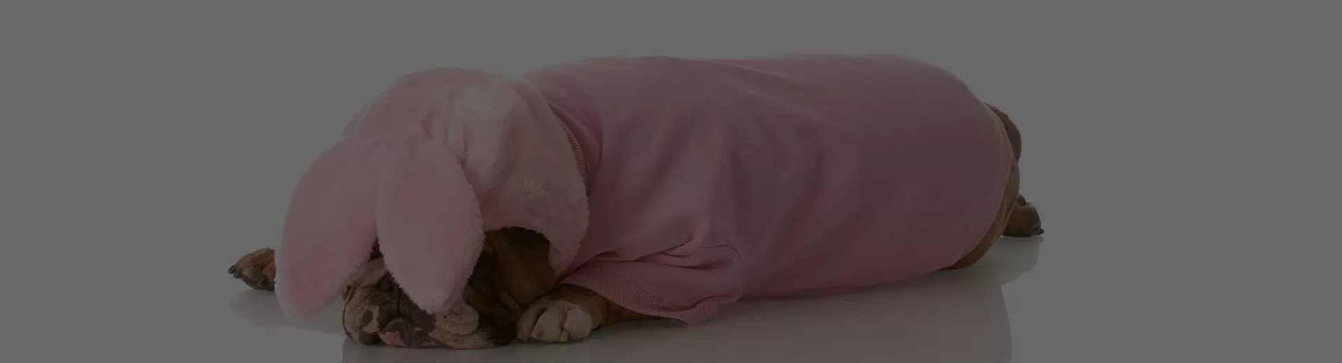 Dog Bathrobe