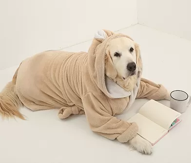 Absorbent and Soft Dog Bathrobes for Happy Pets