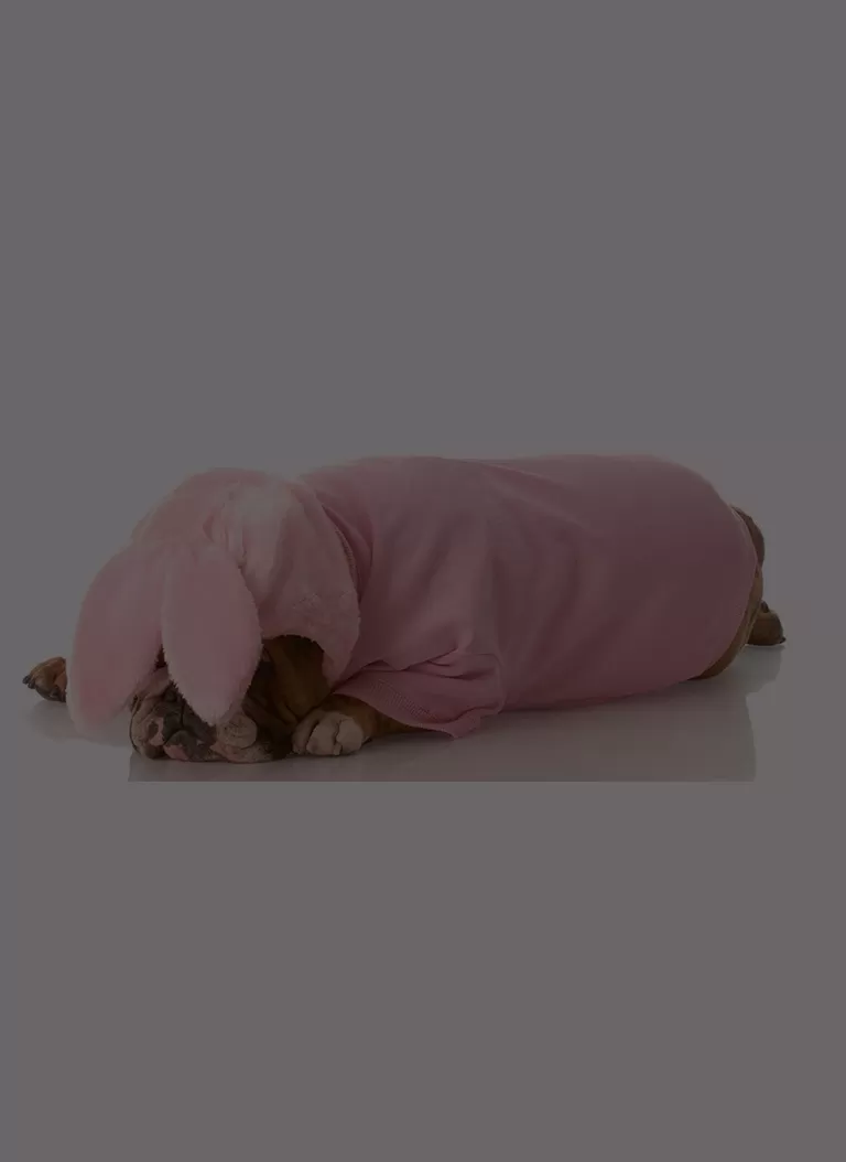 Dog Bathrobe